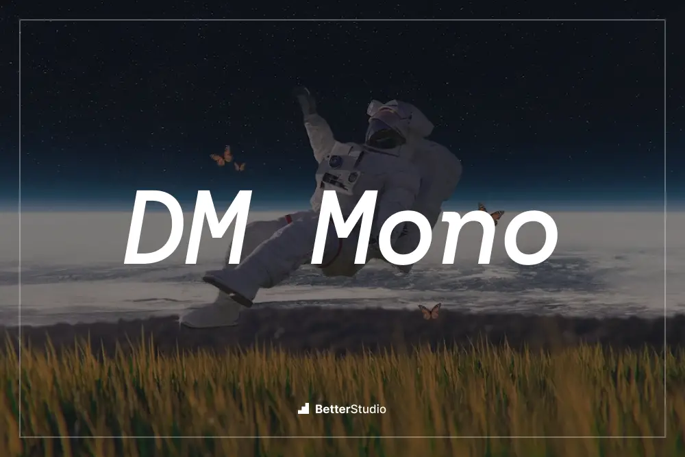 DM 单声道 -