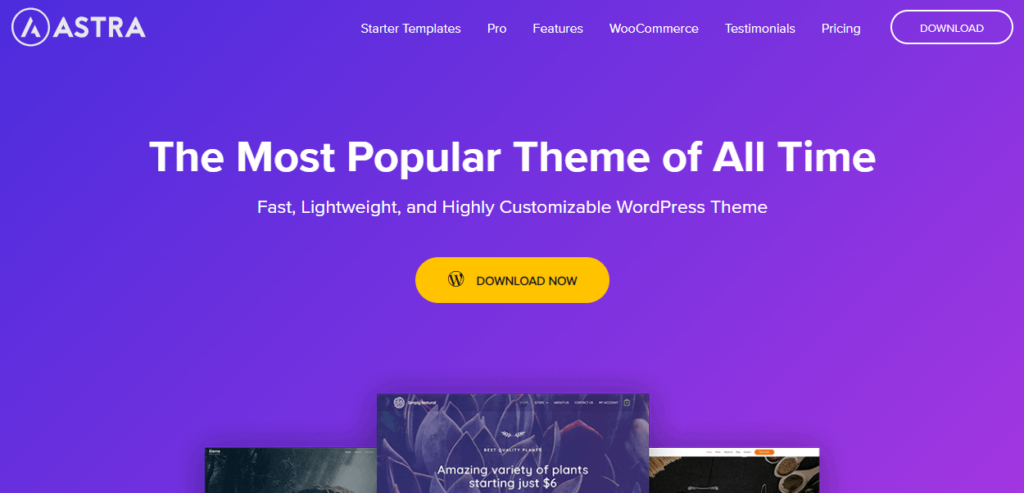 Astra — адаптивные темы WordPress