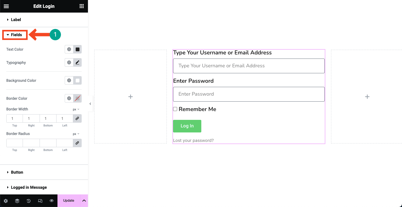 Elementor 16 を使用して WordPress にログイン ページを作成する方法 Customize the field label and the box borders