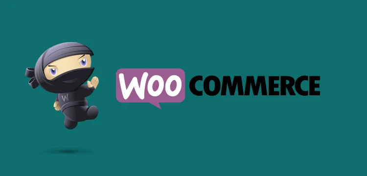 wtyczki-woocommerce-e-commerce
