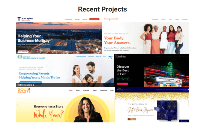 SeedProd 中的最新项目 Recent projects in SeedProd