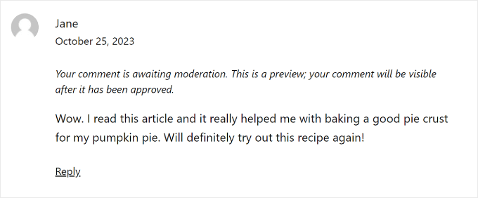 WordPress 網站上等待審核的評論是什麼樣子的 What a comment awaiting moderation looks like on a WordPress website