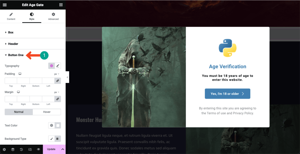 Elementor 14 で WordPress に年齢認証を追加する方法 Stylize the Age Verification form button