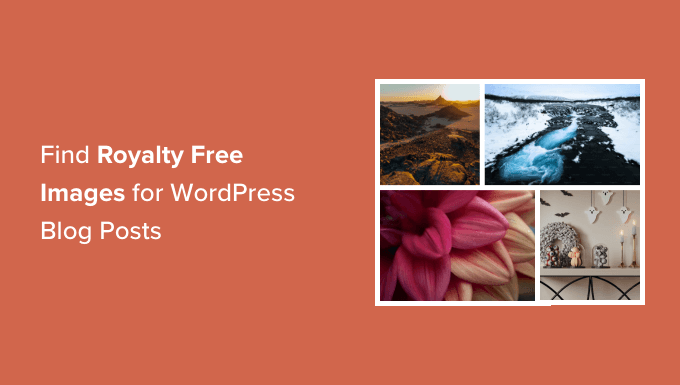 查找适合您的 WordPress 博客文章的免版税图片 Find Royalty Free Images for Your WordPress Blog Posts
