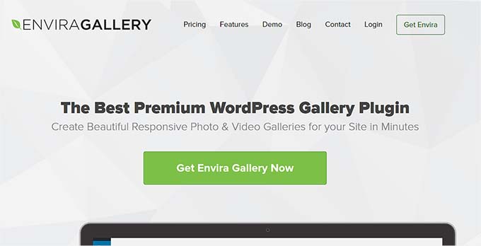 Strona Galerii Envira Envira Gallery website