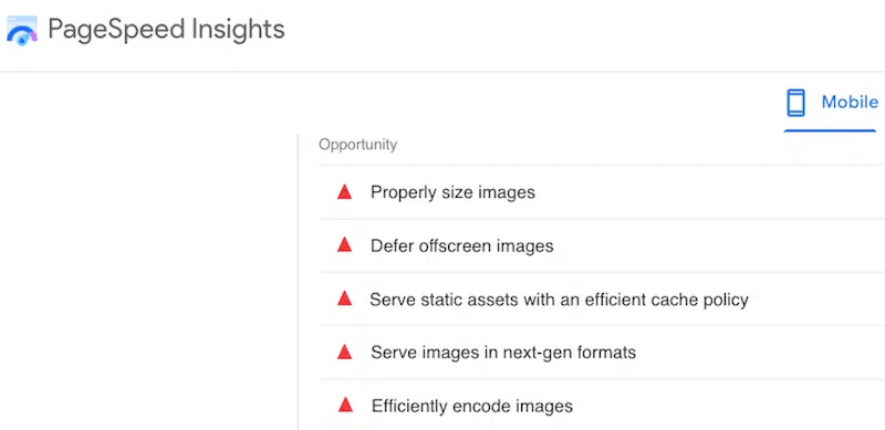 Проблемы с изображениями в PageSpeed Insights – Источник: PageSpeed Insight