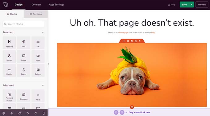 SeedProd'u kullanarak 404 sayfası oluşturun Create 404 page using SeedProd