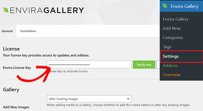 新增 Envira Gallery 許可證金鑰 Add the Envira Gallery license key