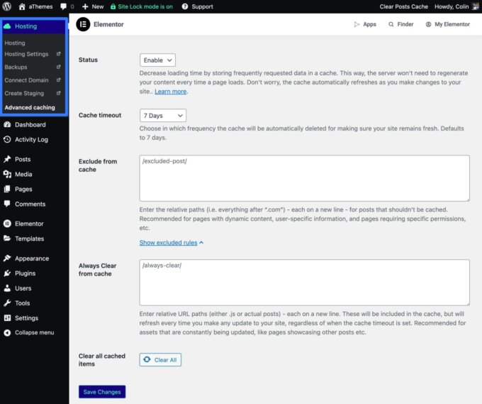 WordPress 대시보드의 Elementor Hosting 추가 옵션