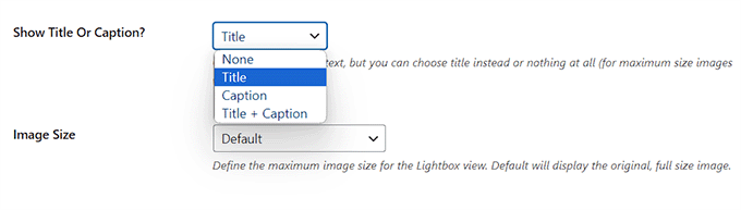 Galeri için resim başlığını ve boyutunu yapılandırın Configure image title and size for the gallery