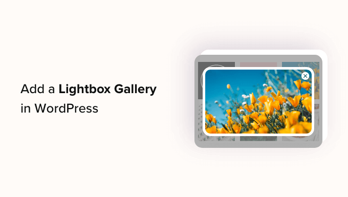 Işık Kutusu Efektiyle WordPress'e Galeri Ekleme Add a Gallery in WordPress with a Lightbox Effect