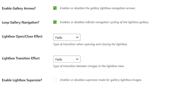 Envira Galerisi'ndeki diğer ışık kutusu seçeneklerini yapılandırma Configure other lightbox options in Envira Gallery