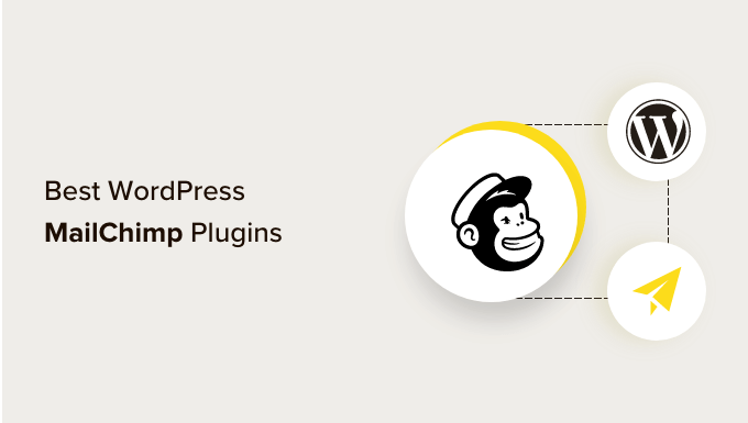 i migliori plugin WordPress per MailChimp Best WordPress Mailchimp plugins