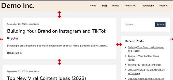 典型网站布局中使用的边距 Margins used in a typical website layout