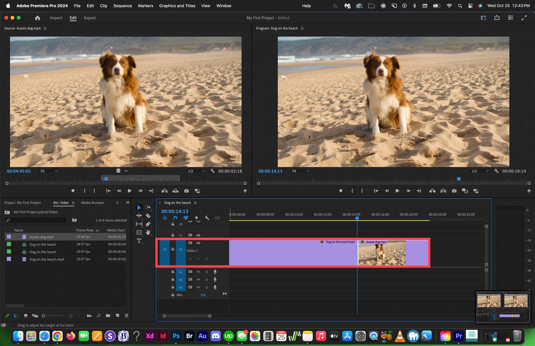 Adobe Premiere 트랙 확대