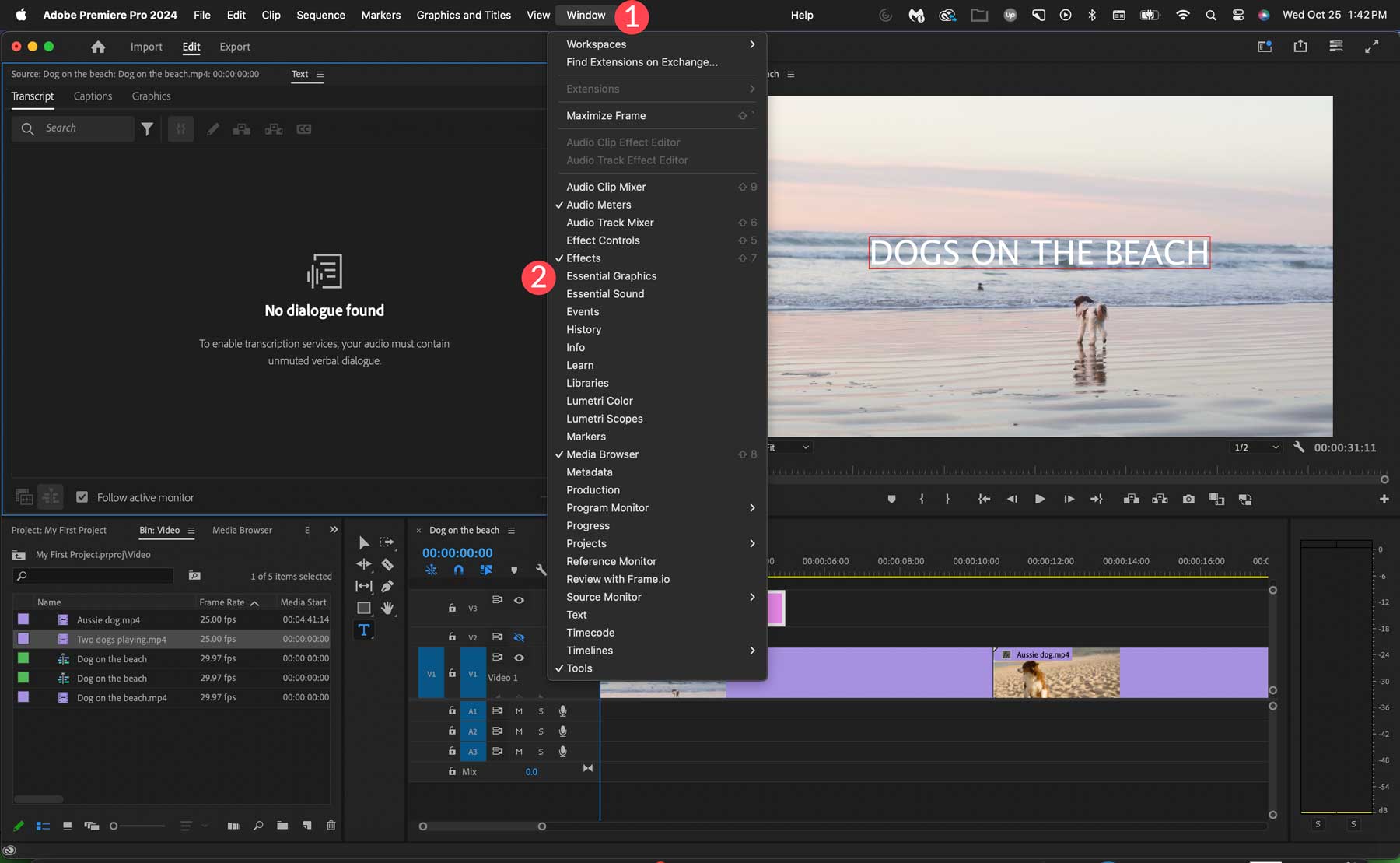 Adobe Premiere Pro 그래픽 패널