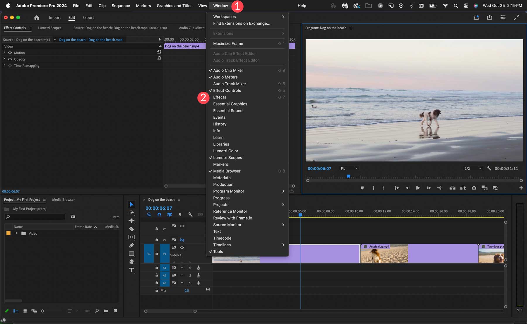 Adobe Premiere Pro 효과