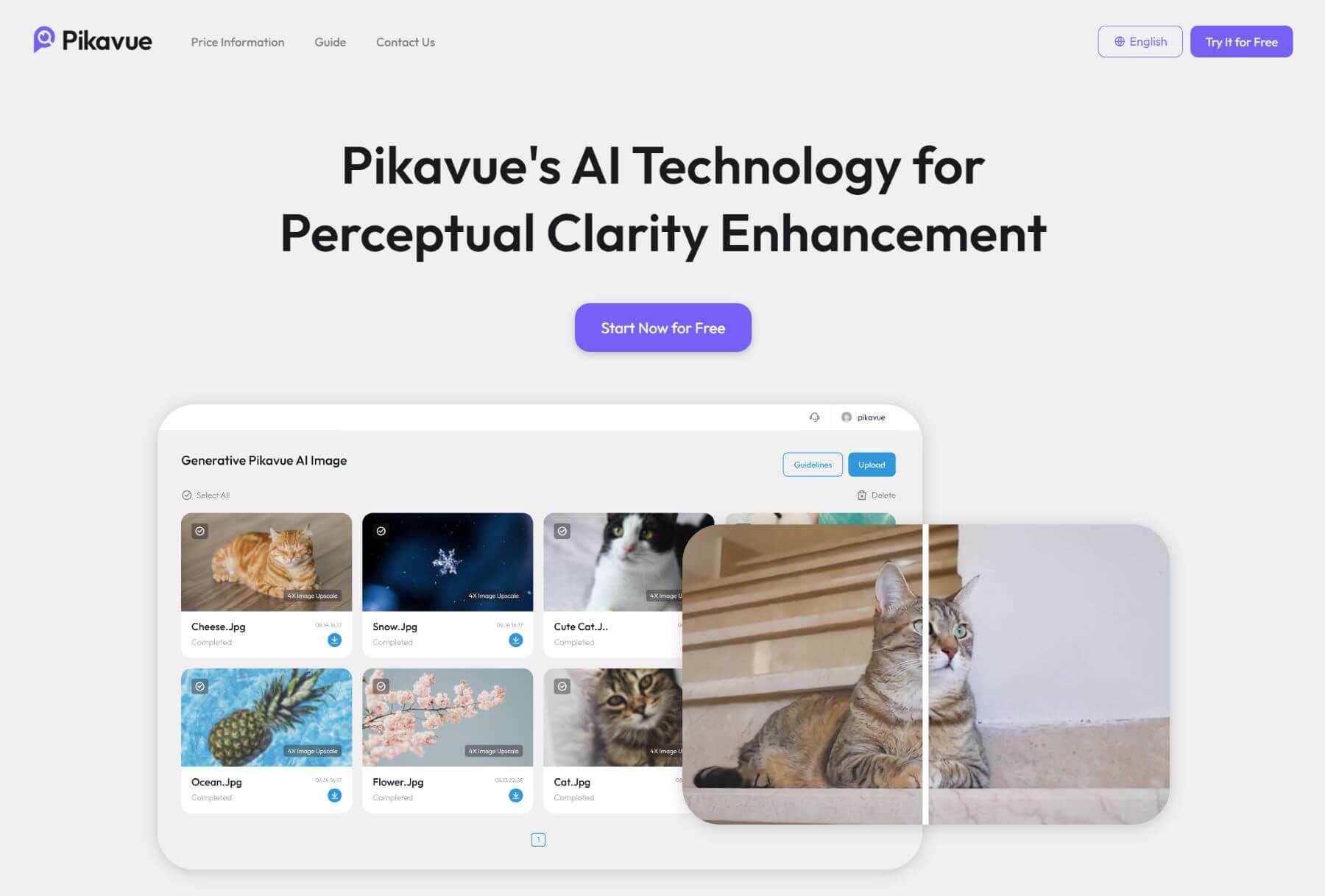الصفحة الرئيسية لتحديث الصور في pikavue