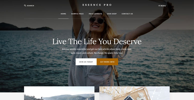 Essence Pro - IsItWP - Detector de teme WordPress gratuit Essence Pro