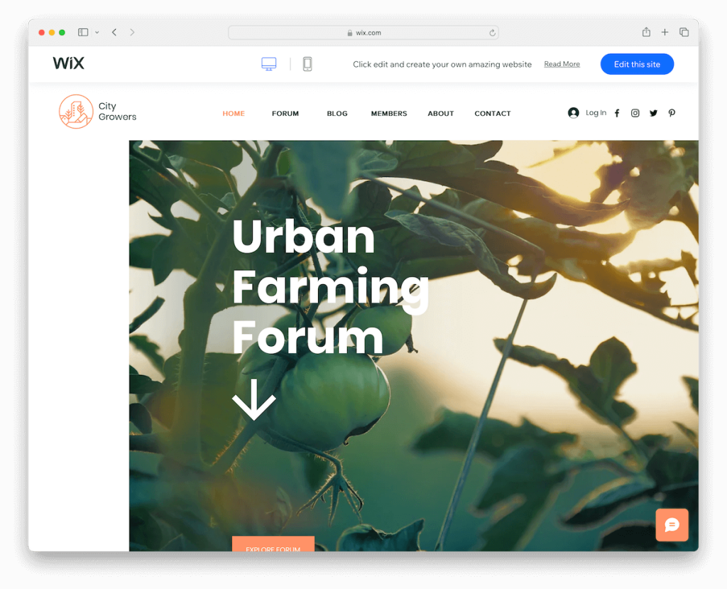 bahçecilik blogu wix forumu