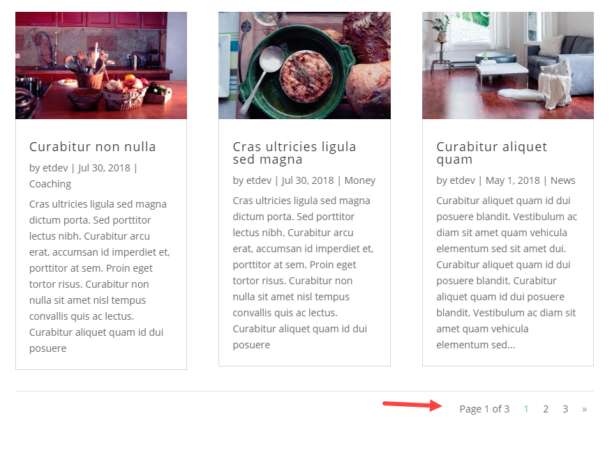 gaya pagination di divi