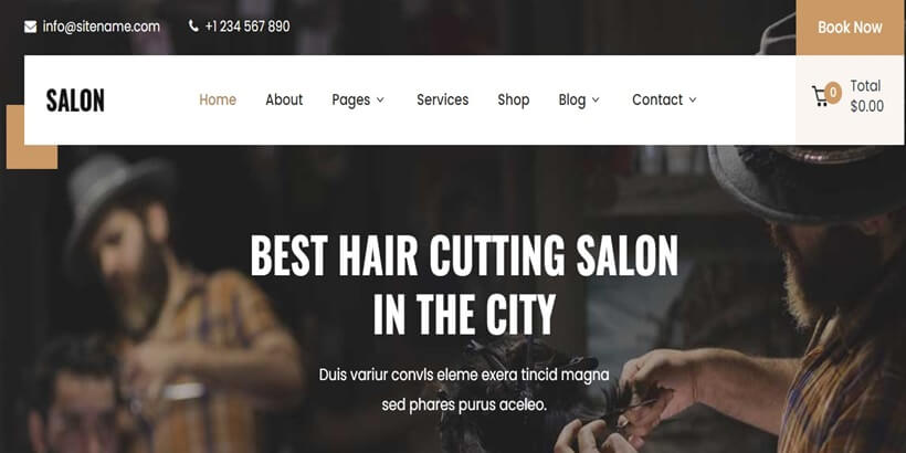 SKT-Salon-Best-Free-Hair-Salon-WordPress-ธีมส์