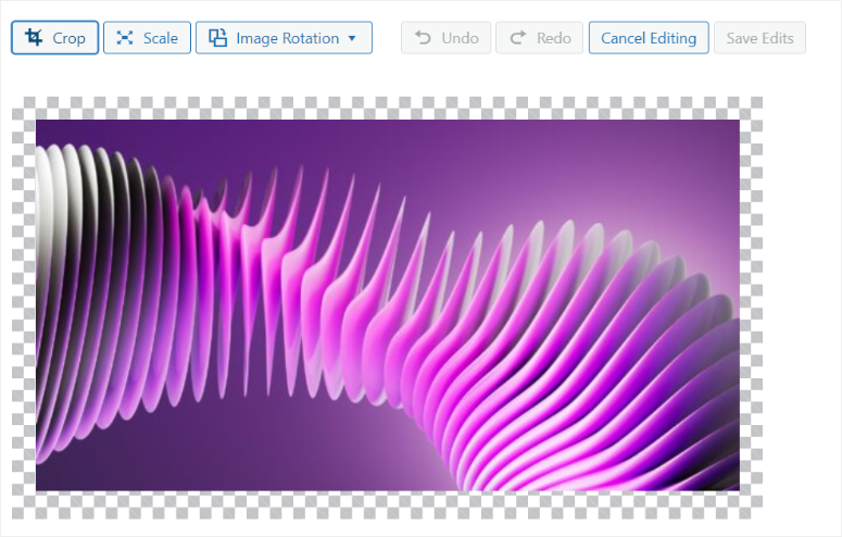 modifica-dettagli-allegato-immagine - IsItWP - Rilevatore di temi WordPress gratuito edit image attachment details