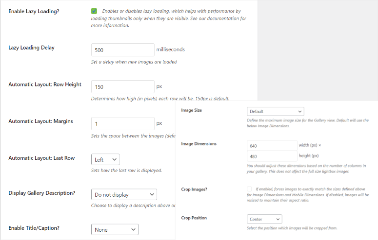envira-gallery-customization-more-options - IsItWP - Rilevatore di temi WordPress gratuito envira gallery customization more options