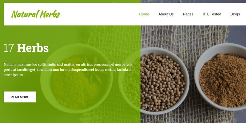 WordPress 11을 위한 최고의 영양사 웹사이트 테마 및 템플릿 15개 Home Natural Herbs