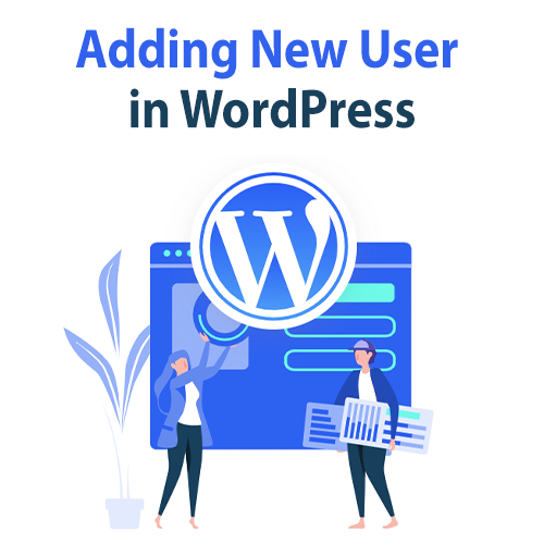 Cómo agregar un nuevo usuario en el sitio web de WordPress 1 new up user 31