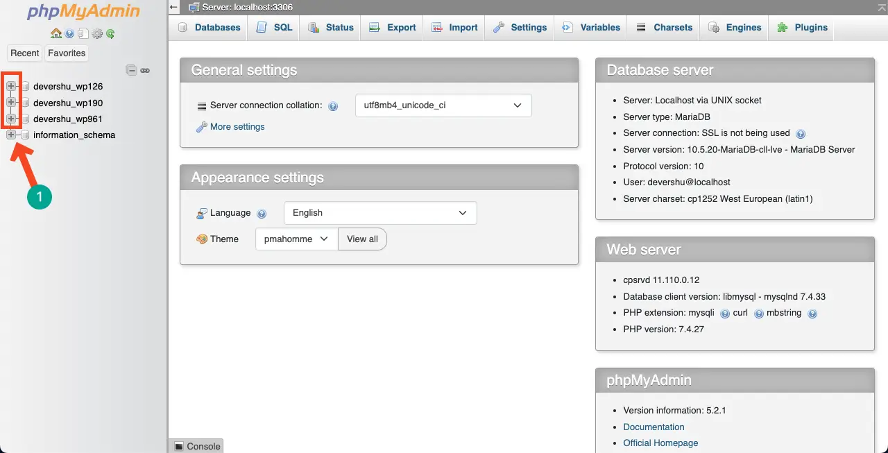 クローン作成と移行後に古いドメインを新しいドメインにリダイレクトする方法 3 Select a database to see your site URL
