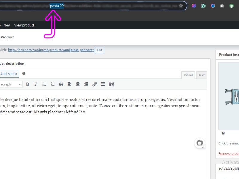 So erhalten Sie eine Produkt-ID in WooCommerce (3 Methoden) 6 image 30 1
