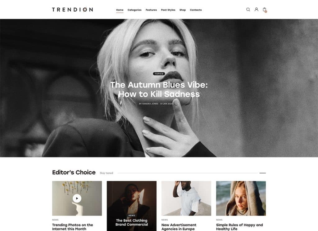 Trendion — тема WordPress для личного блога и журнала о стиле жизни