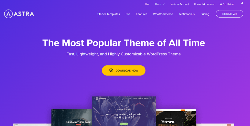 15+ 适合博客、电子商务和商业的最佳 WordPress 主题 3 Best WordPress Themes