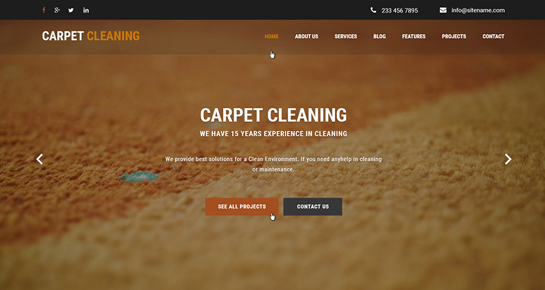 Cleaning Company Wordpress Theme