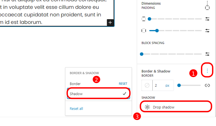 13 คุณสมบัติที่ดีที่สุดที่มาใน WordPress 6.5 พร้อมภาพหน้าจอ 6 Drop Shadow