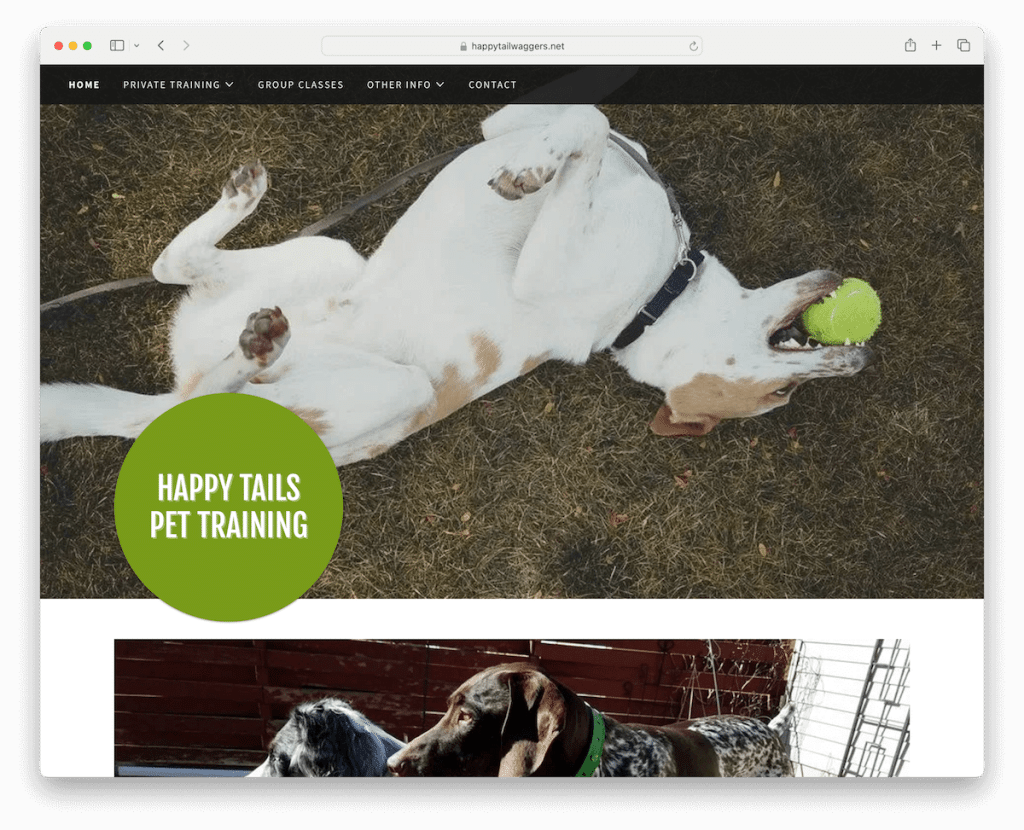 addestramento degli animali domestici con code felici