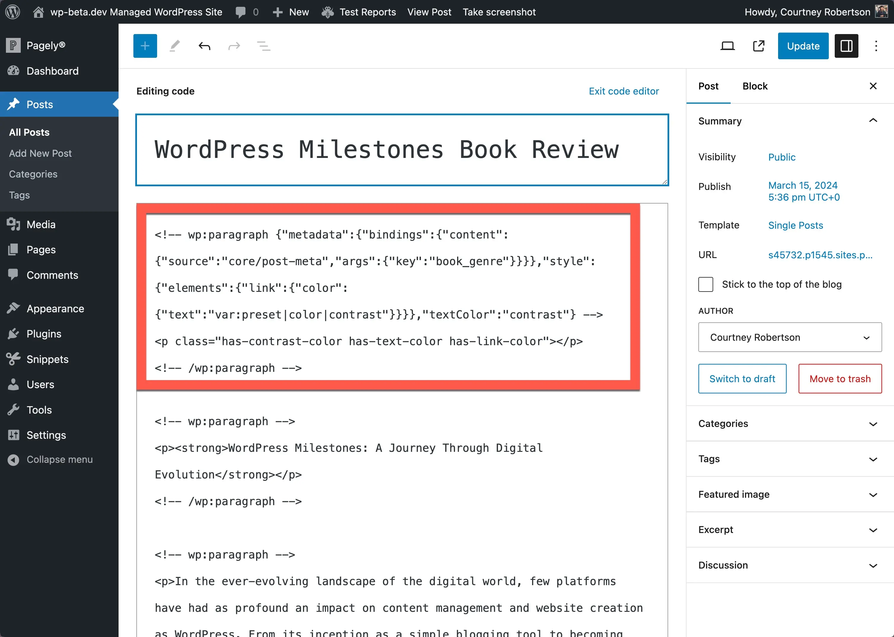 代码编辑器视图中的 WordPress 帖子编辑器。顶部是显示自定义字段所需的代码,并在其周围出现一个红色框以演示其所属位置。