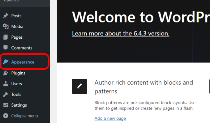 Jak stworzyć witrynę internetową z odzieżą w dużych rozmiarach za pomocą WordPress? 2 Appearance