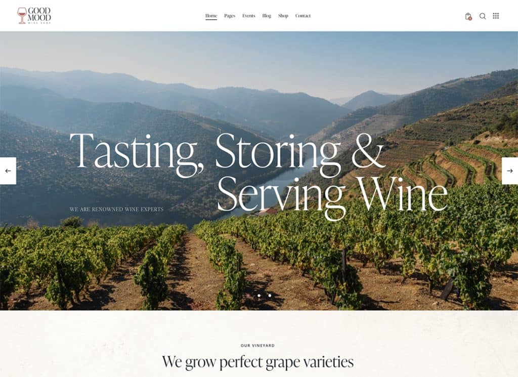 Bonne humeur – Thème WordPress pour boutique de vins