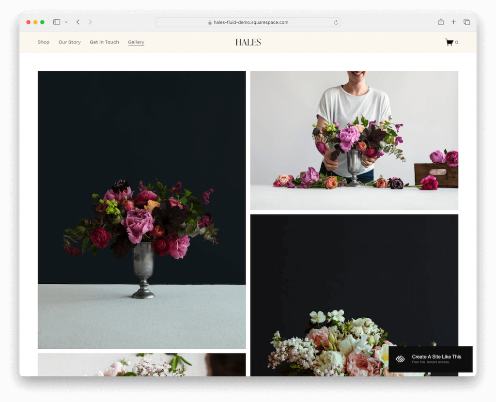 Modello di portfolio Hales Squarespace