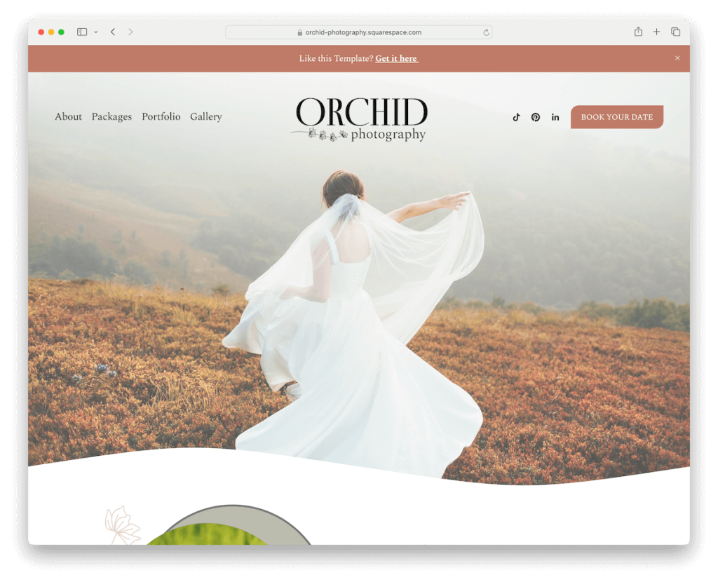 modèle de mariage orchidée squarespace