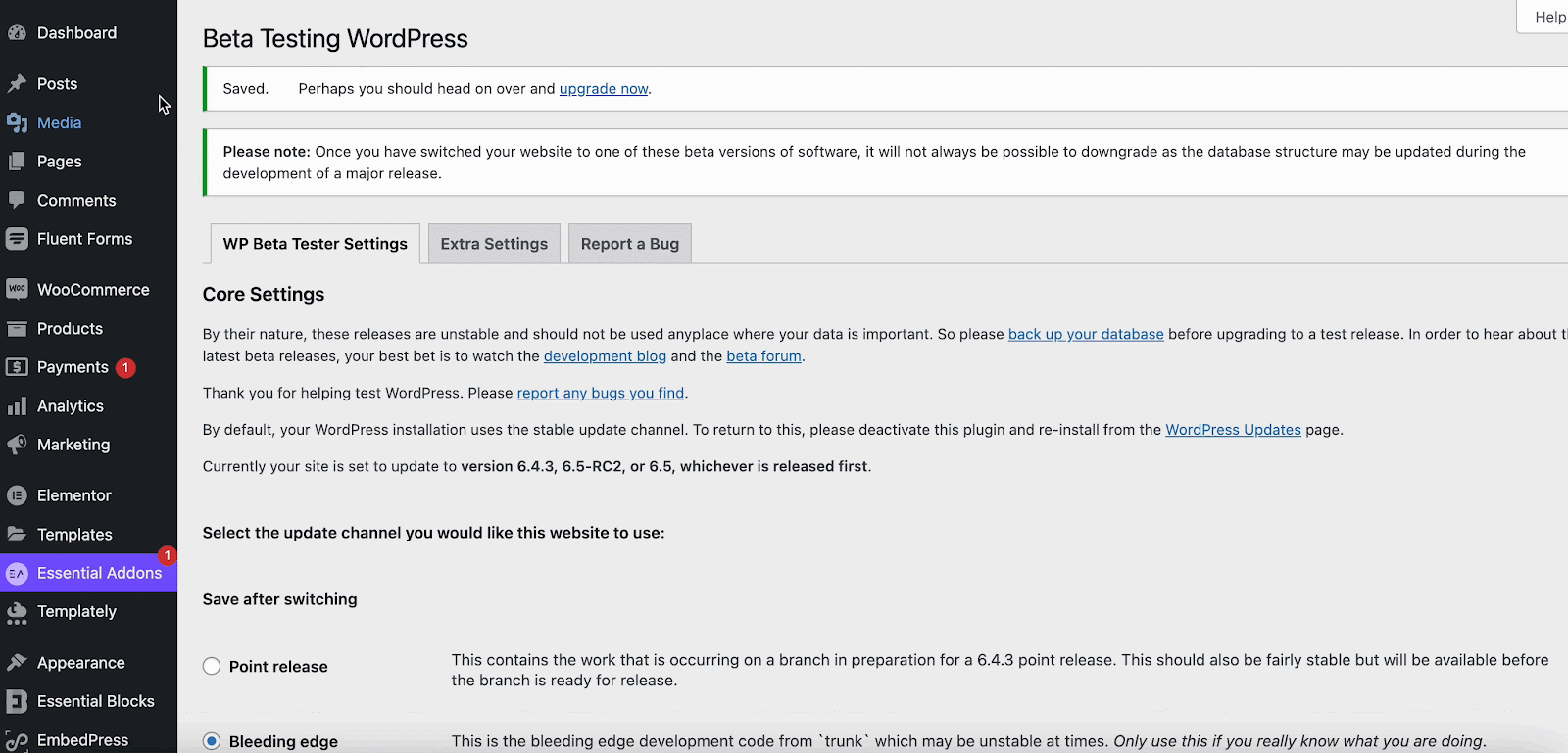 бета-тестер WordPress WordPress beta tester
