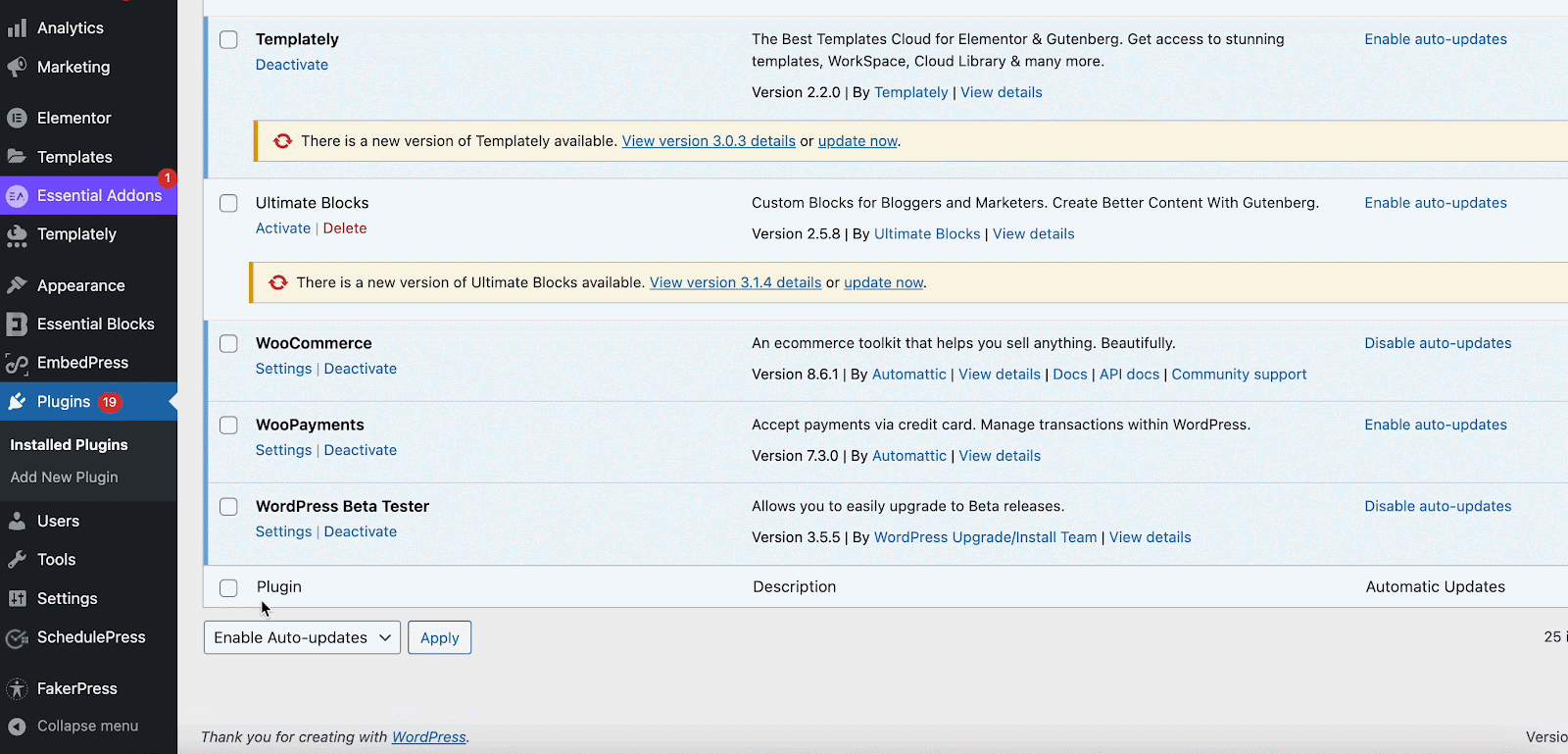 бета-тестер WordPress WordPress beta tester