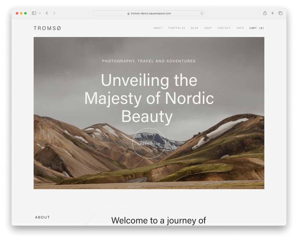 tromso squarespace sanatçıları şablonu