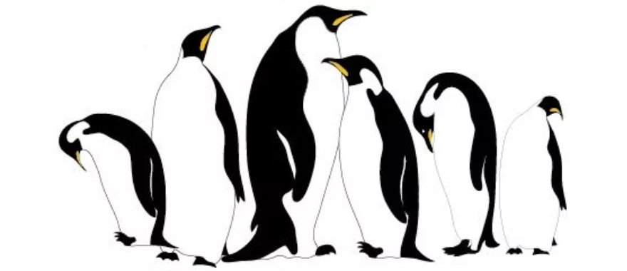 Pinceaux Illustrator gratuits