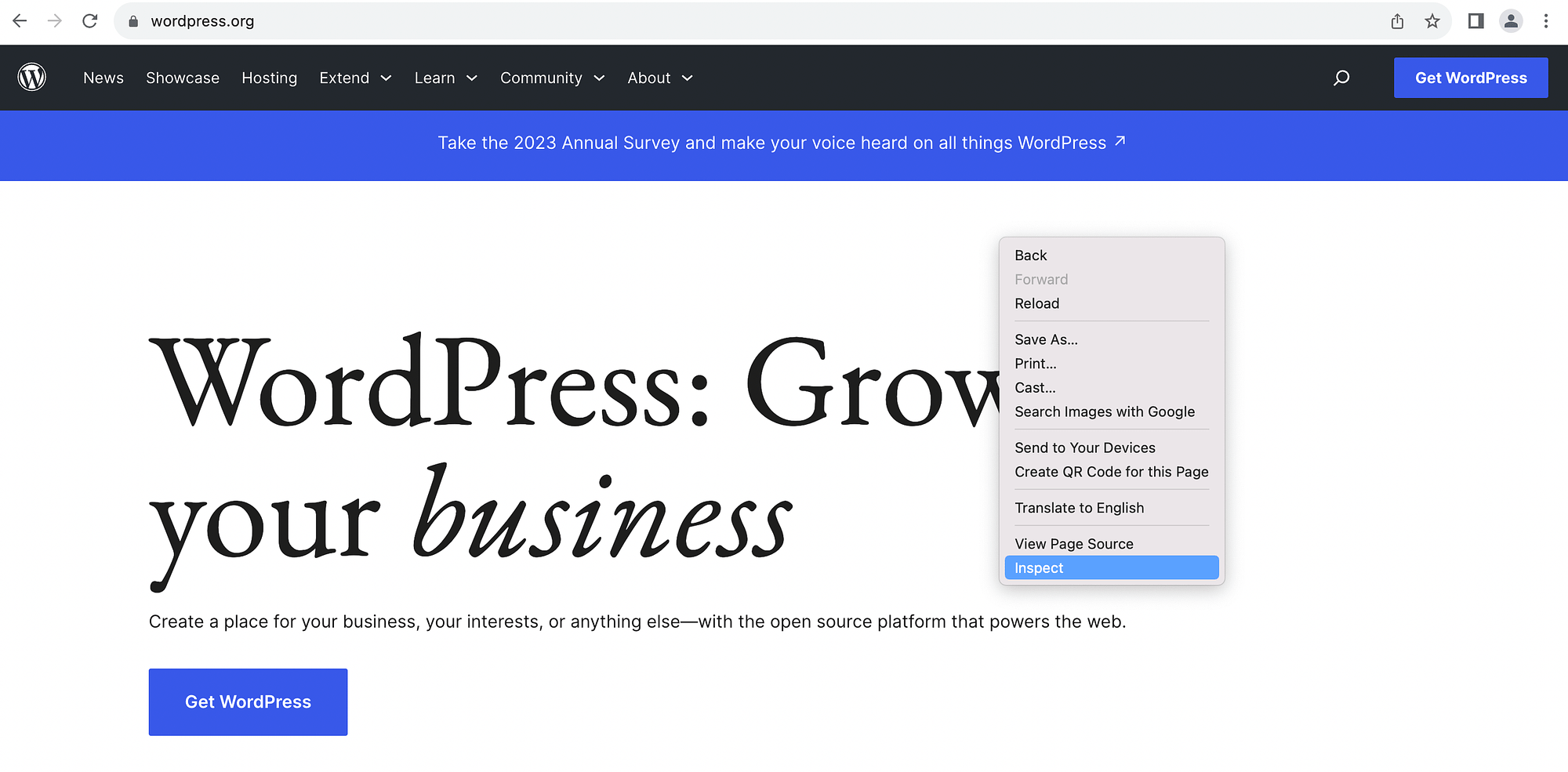 WordPress.org のホームページを検査します。