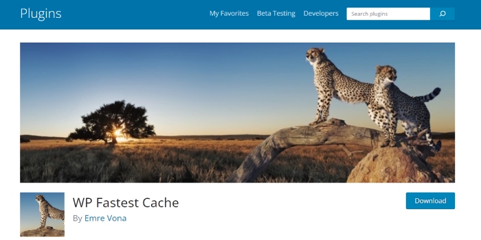 8+ beste Cache-Plugins für WooCommerce-Websites 1 WP Fastest Cache