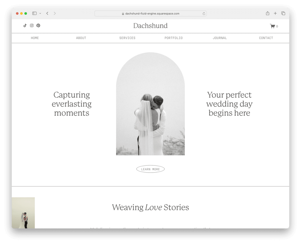 templat fotografer pernikahan dachshund squarespace