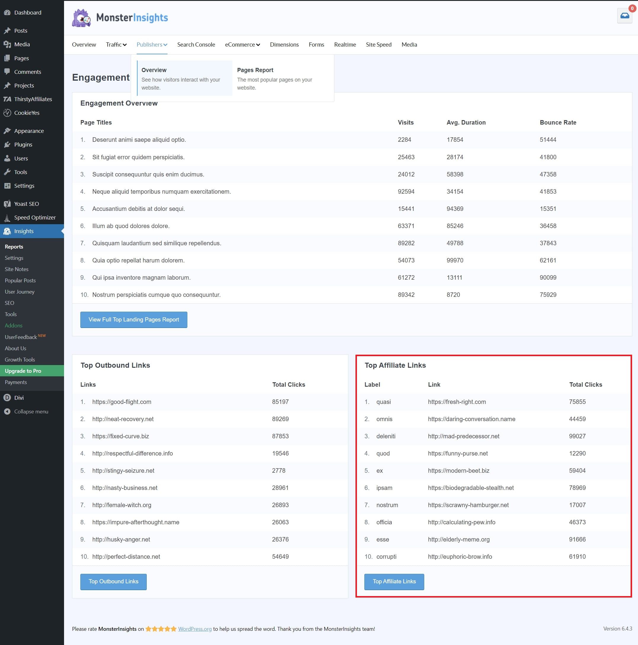 Monsterinsights ortaklık bağlantıları